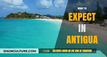 Discover Antigua's Vibrant Culture, Stunning Beaches, and Hidden Gems