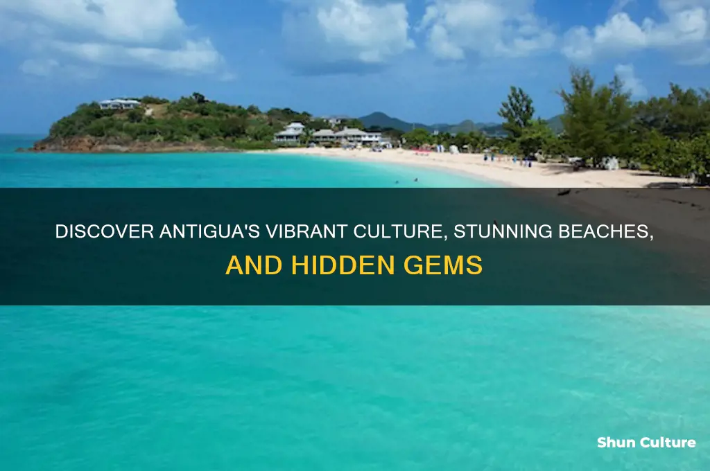 what to expect in antigua