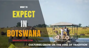 Exploring Botswana: Wildlife, Culture, and Adventure Await Visitors