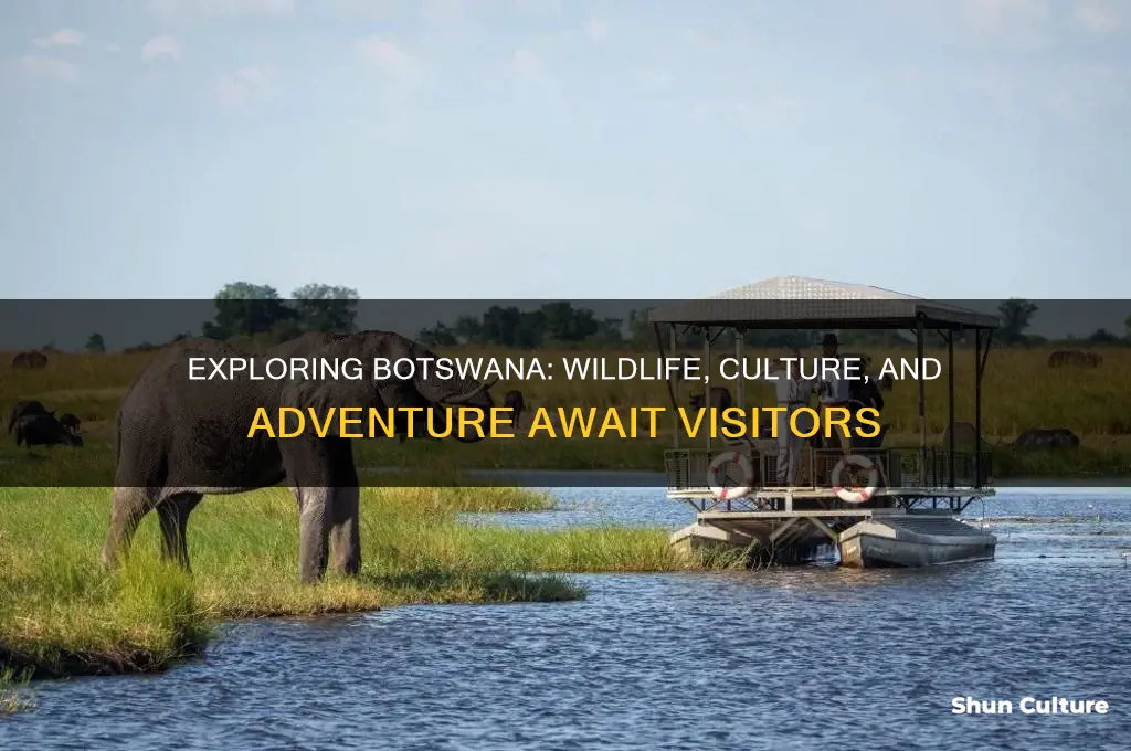 what to expect in botswana