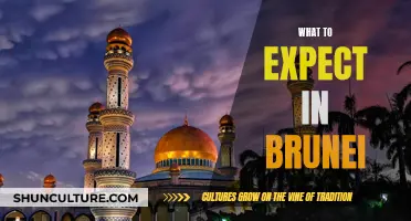 Unveiling Brunei: A Traveler's Guide to the Unexpected