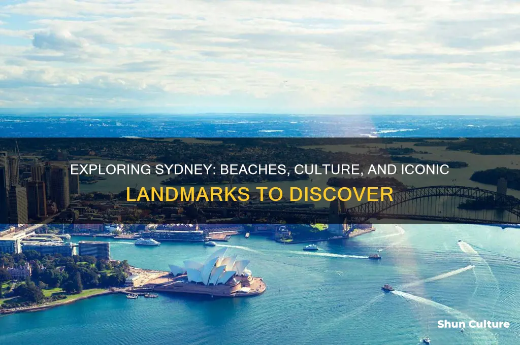what to expect in sydney australia