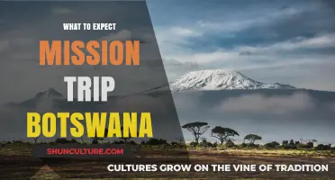 Exploring Botswana: What to Expect on Your Mission Trip Adventure