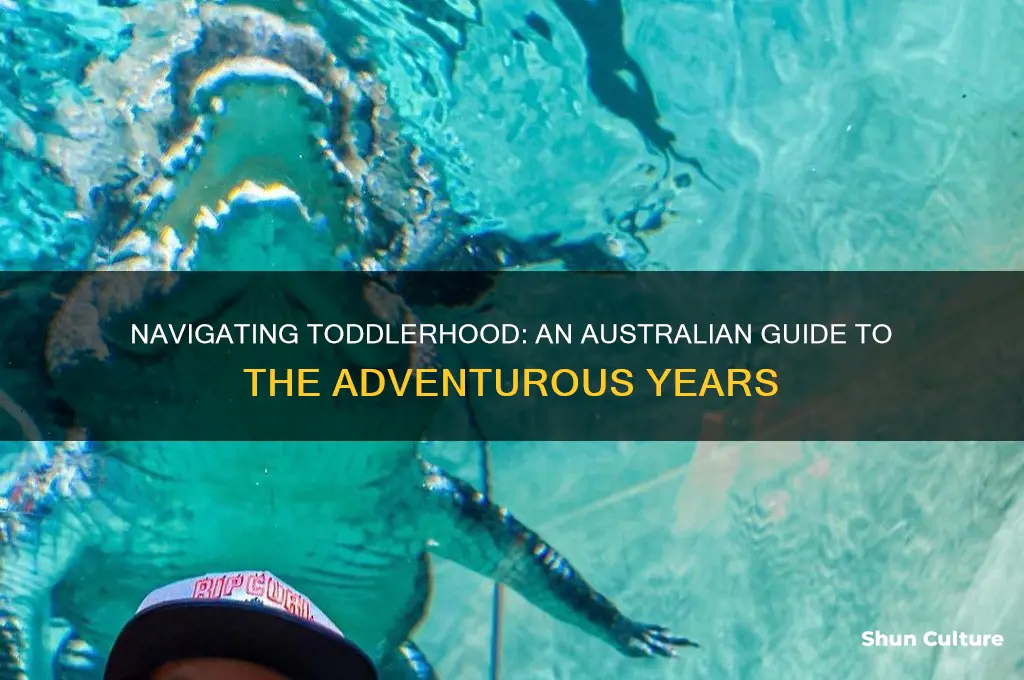 what to expect the toddler years australian edition