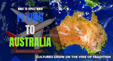 A Guide to Your Australian Adventure: In-Air Expectations