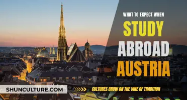 Exploring Austria: A Guide to Studying Abroad in Europe