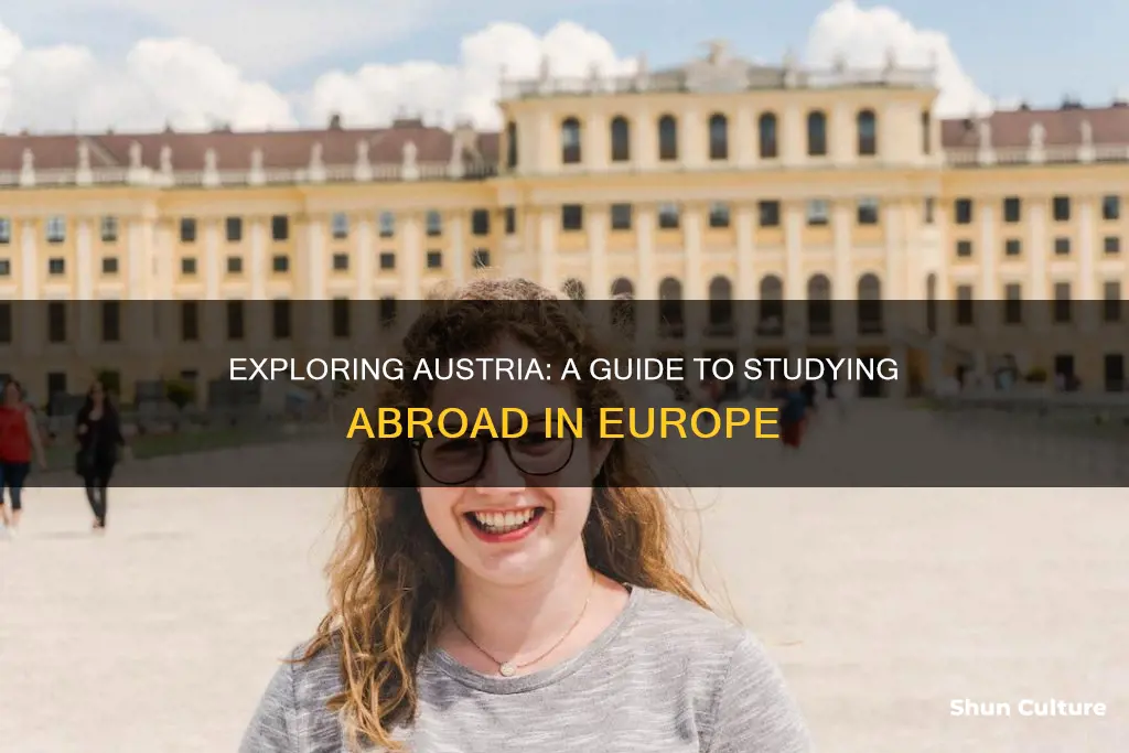 what to expect when study abroad austria