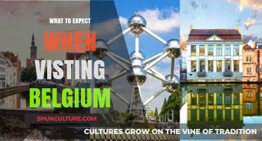 Discovering Belgium: A Visitor's Guide to Local Delights and Hidden Gems