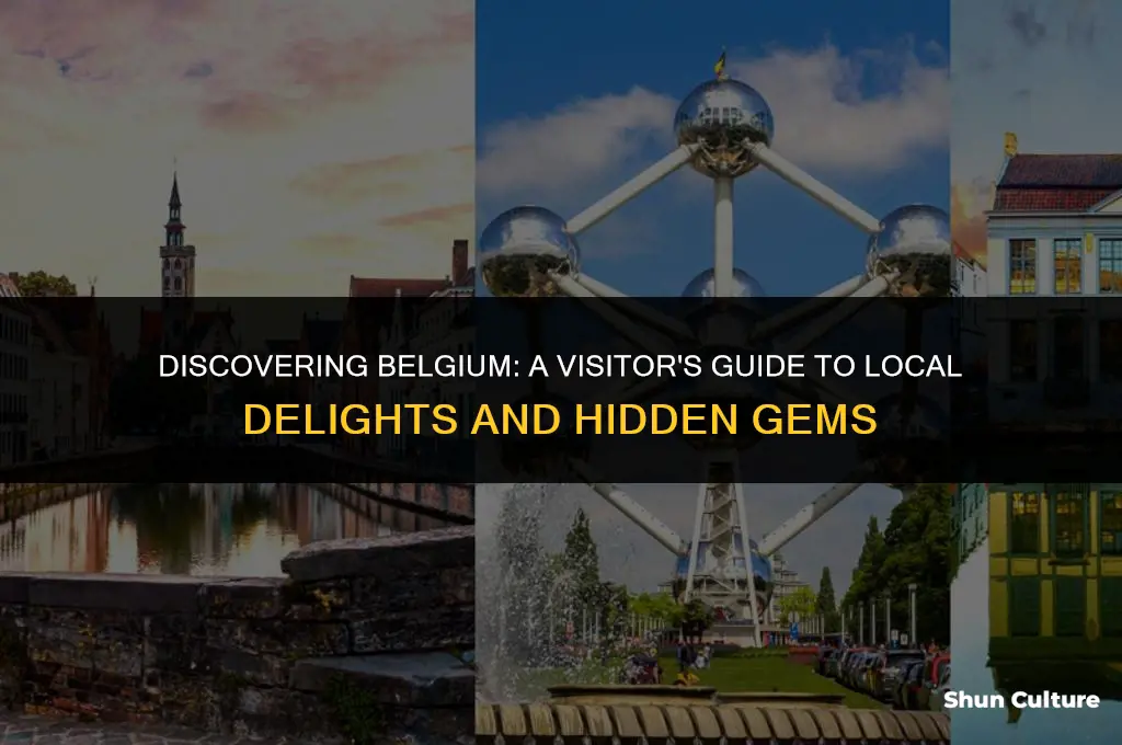 what to expect when visting belgium