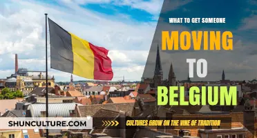 Essential Gifts for a Smooth Move to Belgium