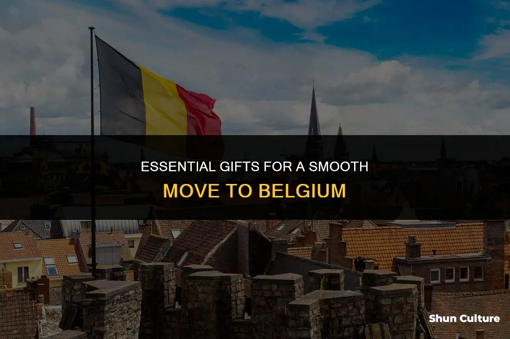 what to get someone moving to belgium