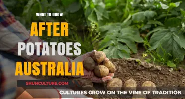 Potatoes are Done: What to Grow Next?