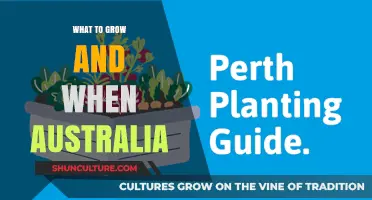 Grow-How: Australia's Seasonal Gardening Guide