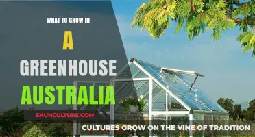 Greenhouse Gardening in Australia: Best Plants to Grow