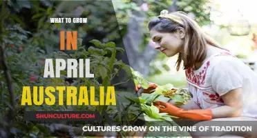Australian Gardening: April Planting Ideas