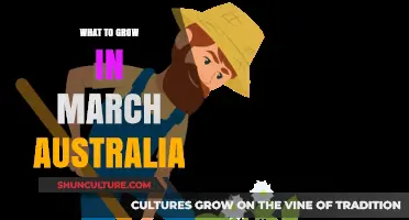 March Gardening in Australia: What to Grow Now