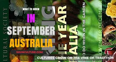 September Gardening: Best Plants to Grow in Australia