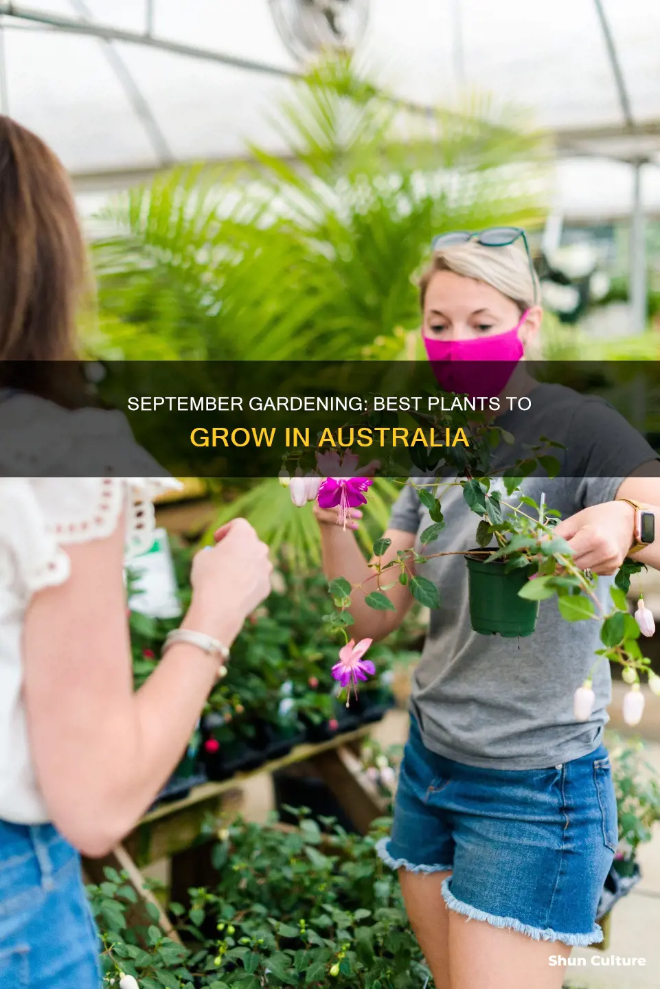 what to grow in September australia