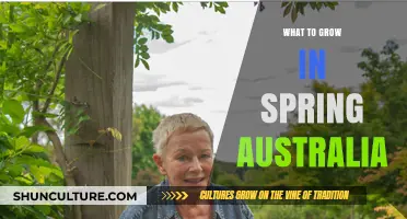 Spring Gardening in Australia: Best Plants to Grow