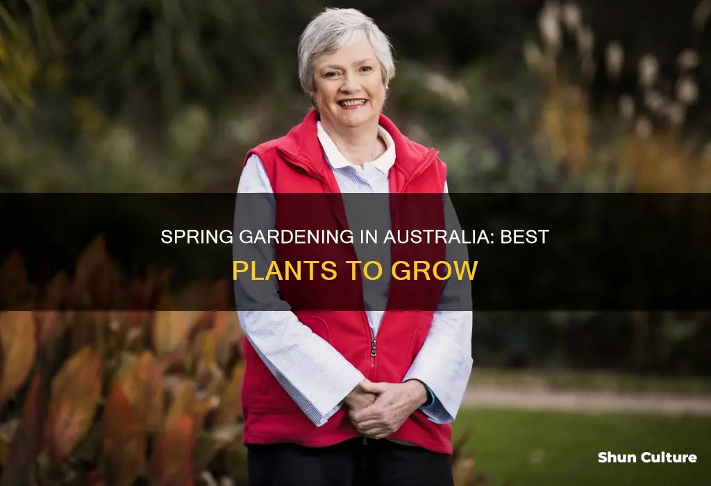 what to grow in spring australia