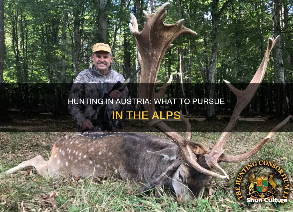 what to hunt in austria