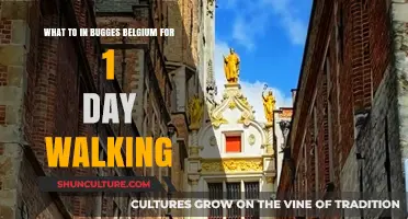 Exploring Bruges: A Perfect Day of Walking and Discovery