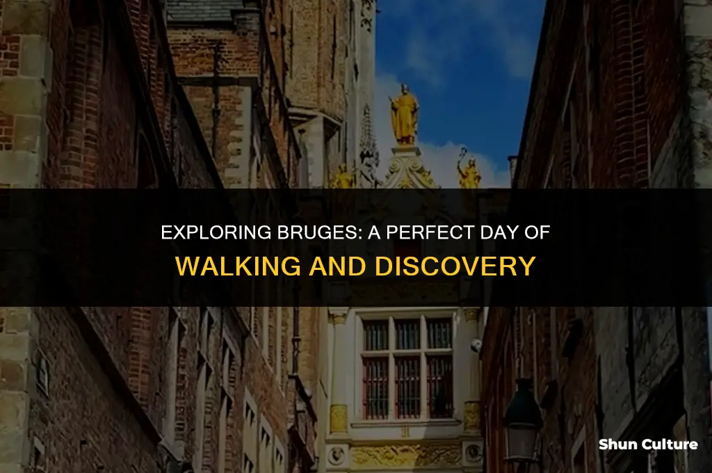 what to in bugges belgium for 1 day walking
