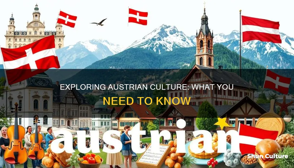 what to know about austrian culture