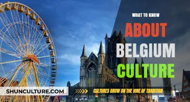 Exploring Belgium: A Guide to Its Rich Culture and Traditions