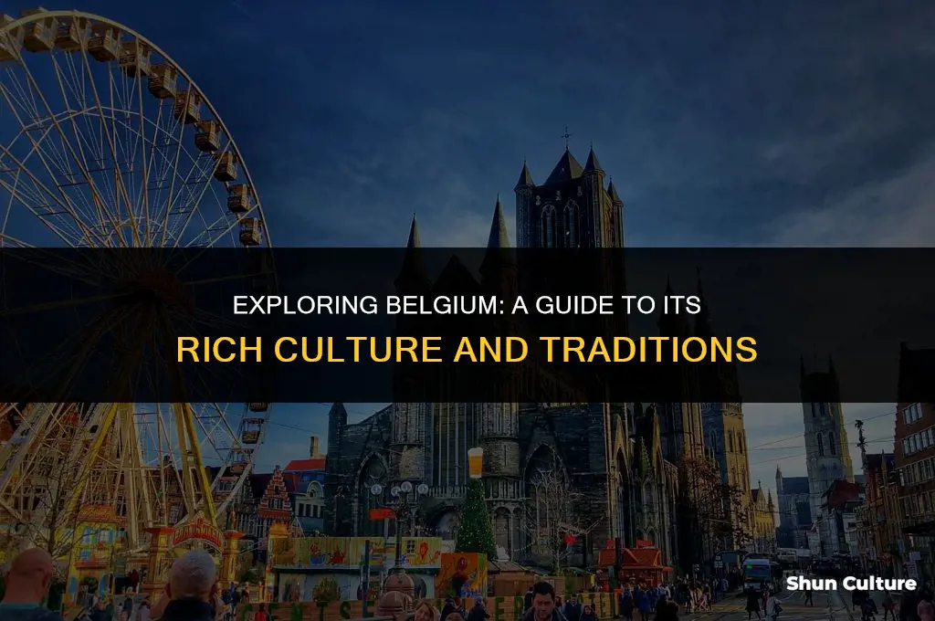 what to know about belgium culture