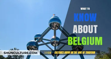 Discovering Belgium: A Guide to Its Rich Culture and History