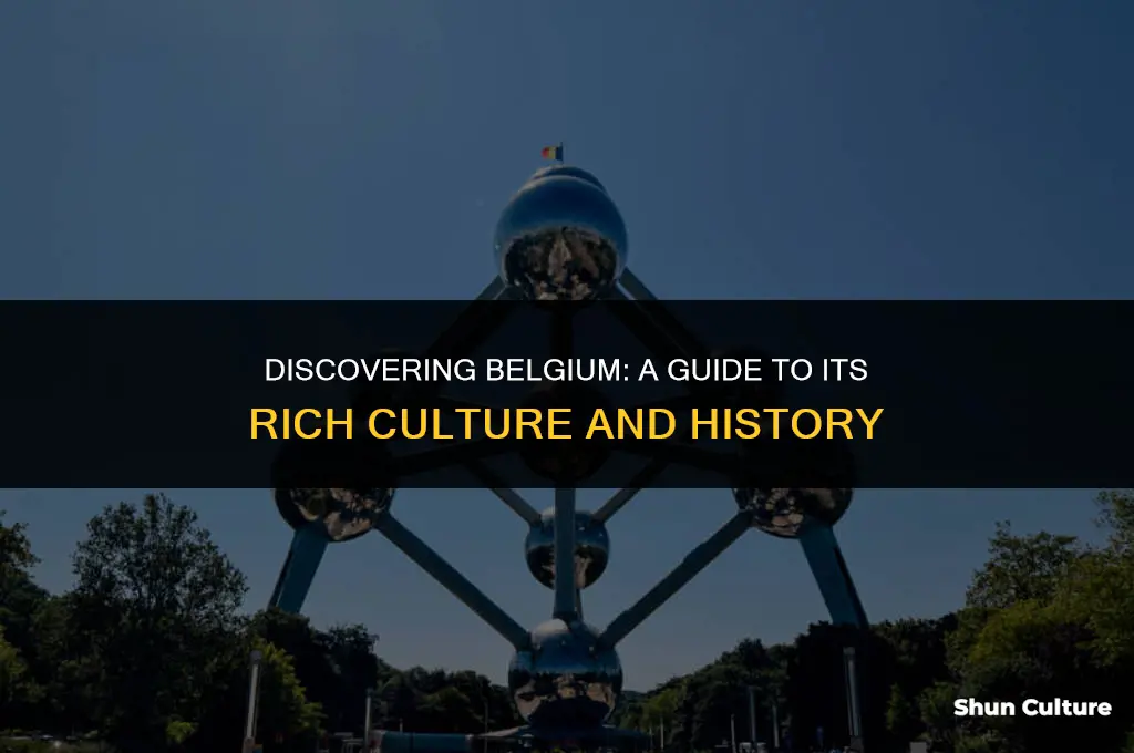 what to know about belgium
