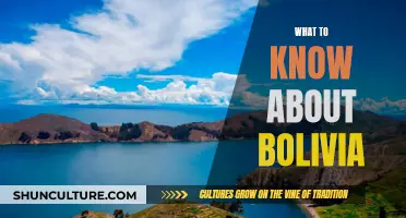 Exploring Bolivia: Essential Insights and Intriguing Discoveries