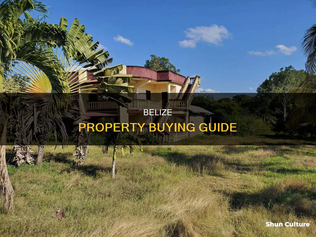 what to know about buying property in belize