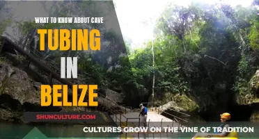 Belize's Caves: Tubing Adventure