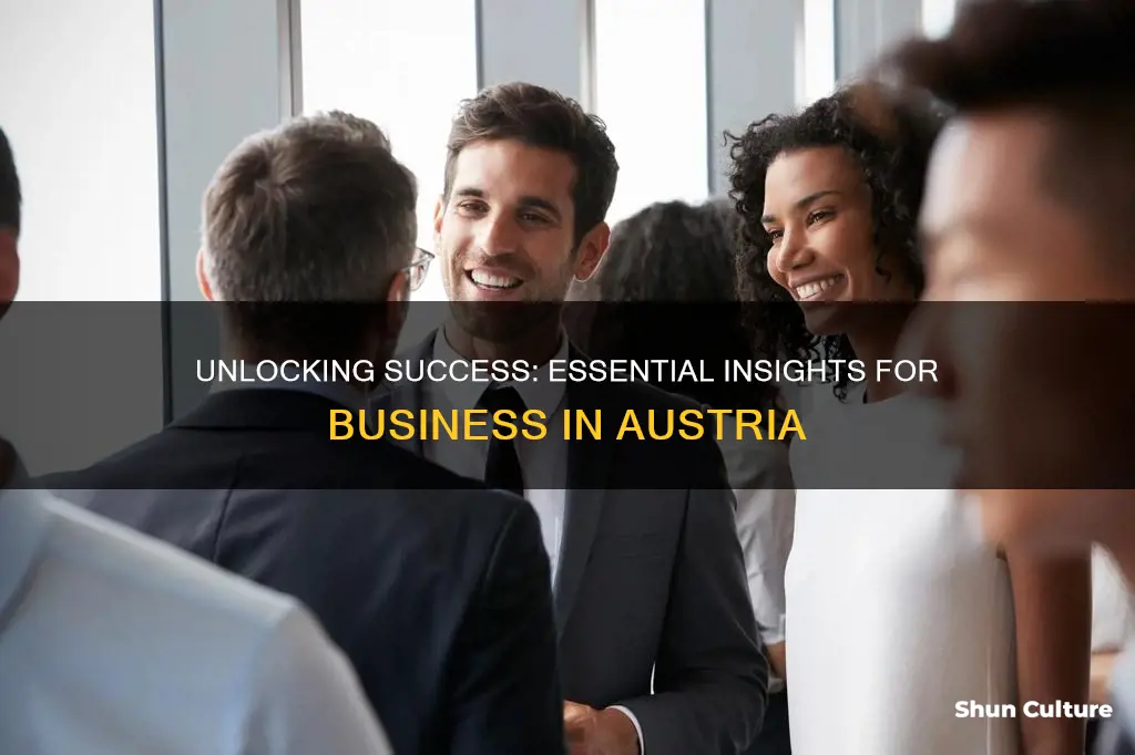 what to know about doing business in austria