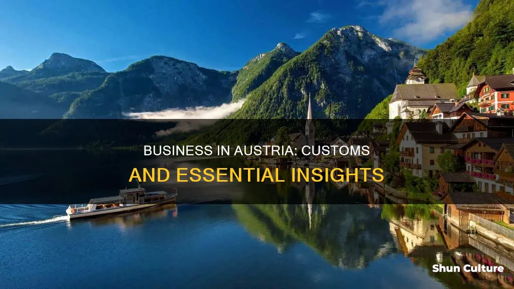 what to know about doing business in austria