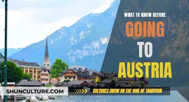 Exploring Austria: Essential Tips for First-Time Visitors