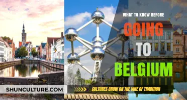 Essential Insights: What to Know Before Your Belgium Adventure