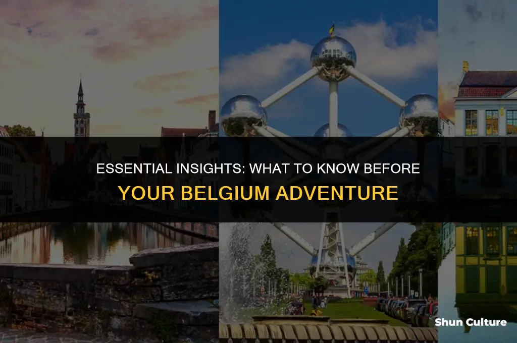 what to know before going to belgium