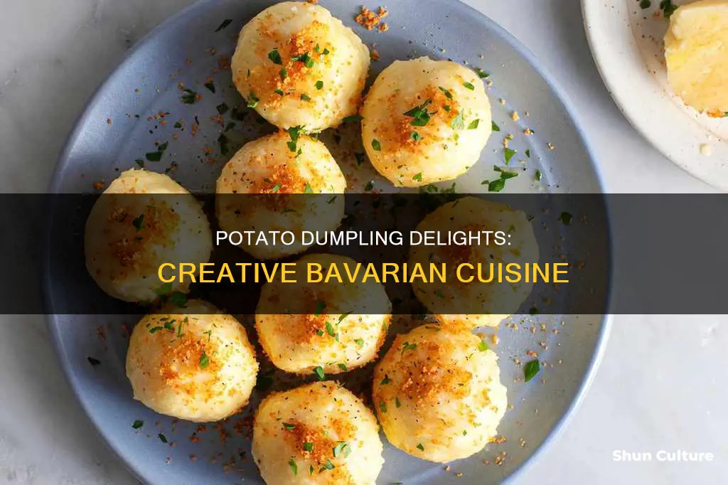 what to make with bavarian potato dumpling