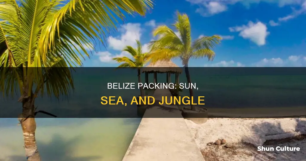 what to pack for beliz