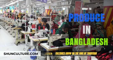 Unlocking Bangladesh's Potential: Top Products to Manufacture and Export