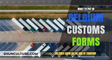 Navigating Belgian Customs: A Comprehensive Guide to Form Requirements