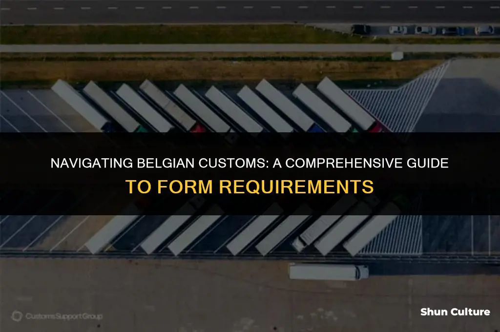 what to put in belgium customs forms