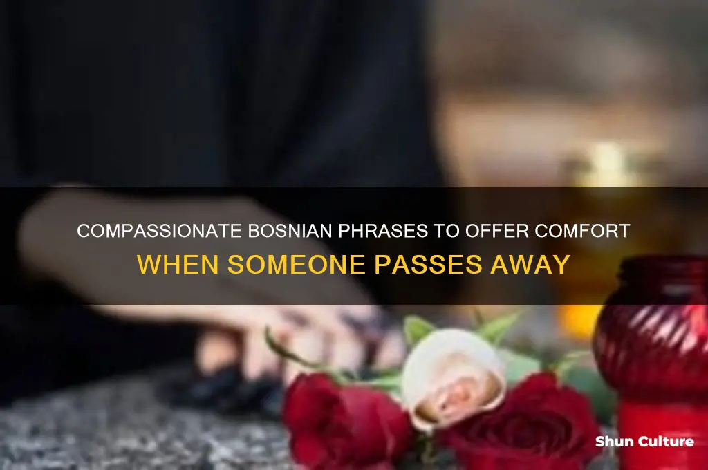 what to say in bosnian when someone dies