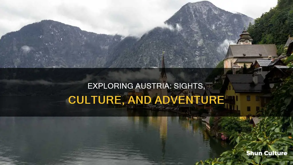 what to see and do austria