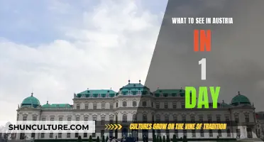 Exploring Austria's Best Sights in a Day