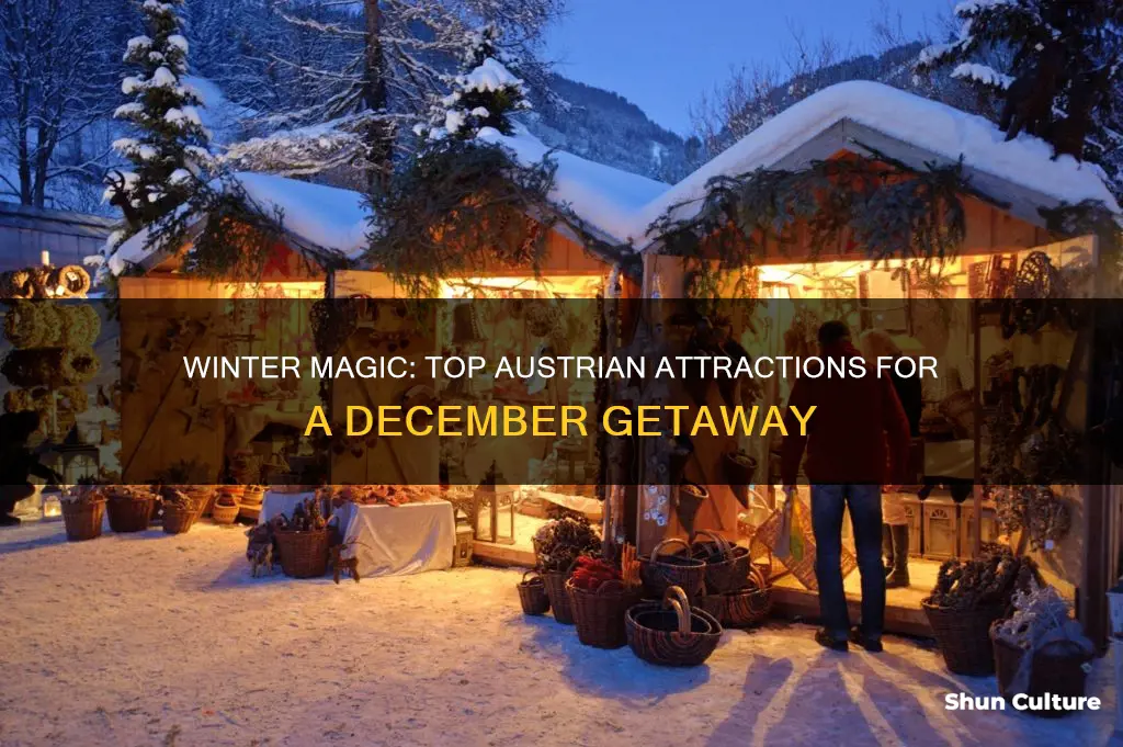 what to see in austria in december