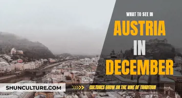 Exploring Austria's December Delights: A Travel Guide